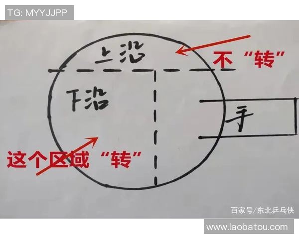深圳乒乓球队个人能力分析与表现评估的深度研究与探讨