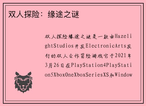 双人探险：缘途之谜